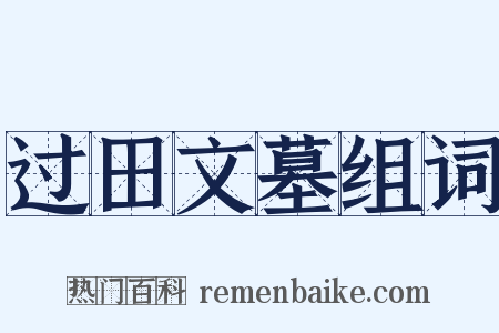 过田文墓组词是什么意思的图片